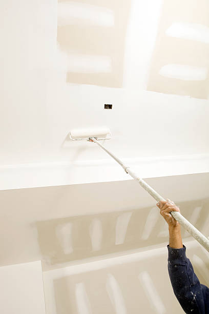 Mold Documentation for Insurance Claims in Underwood Petersville, AL
